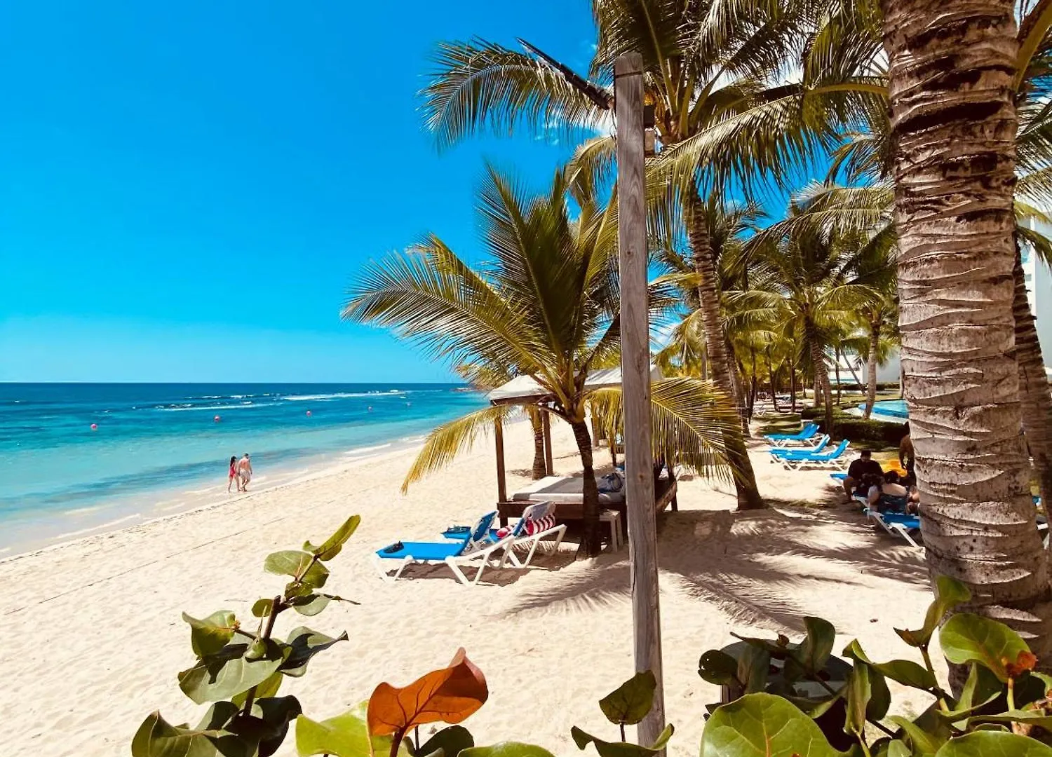 Luxury Penthouse Portobello Santo Domingo Apartman